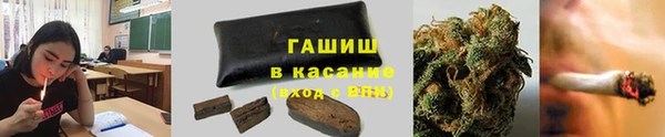 крисы Алексин