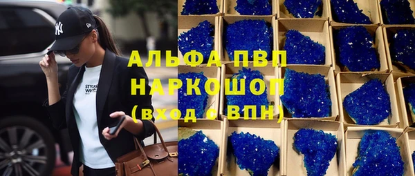 крисы Алексин