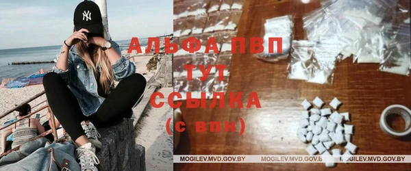крисы Алексин