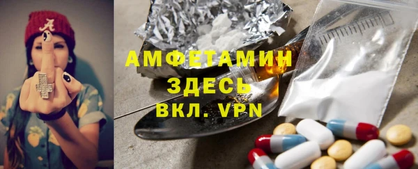 крисы Алексин